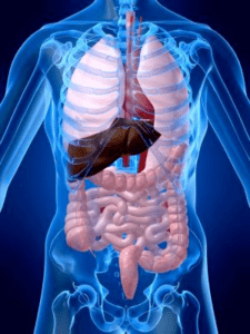 câncer do aparelho digestivo
